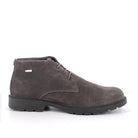 IGI&CO Polacchino uomo CAMOSCIO GTX 8602522 - Musto Calzature srl