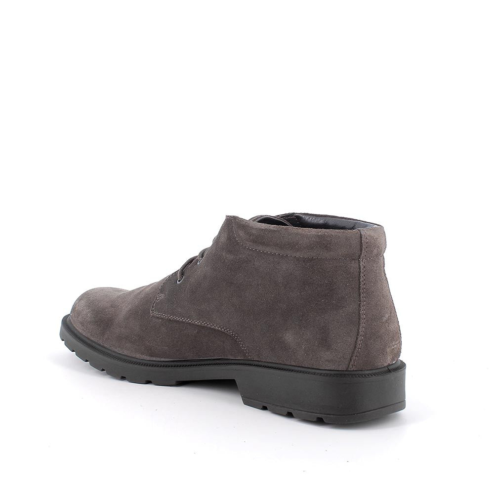 IGI&CO Polacchino uomo CAMOSCIO GTX 8602522 - Musto Calzature srl