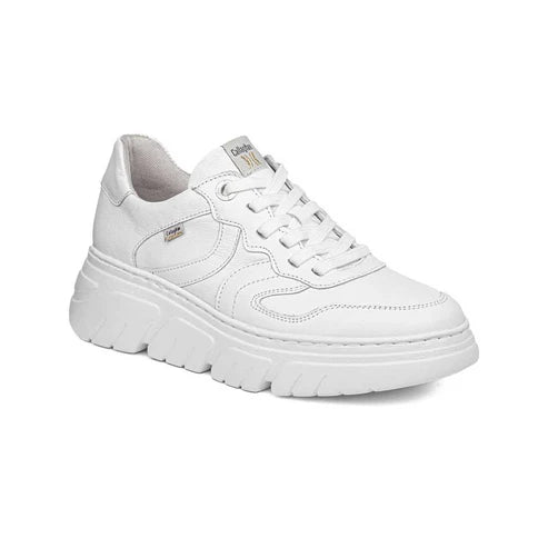 CALLAGHAN Sneakers Pelle 51809 pelle - Musto Calzature srl