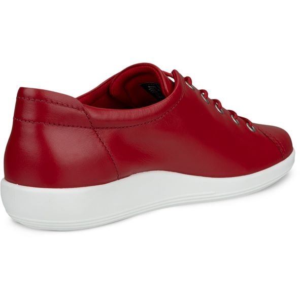 ECCO Scarpe Pelle 206503 - 11466 - Musto Calzature srl