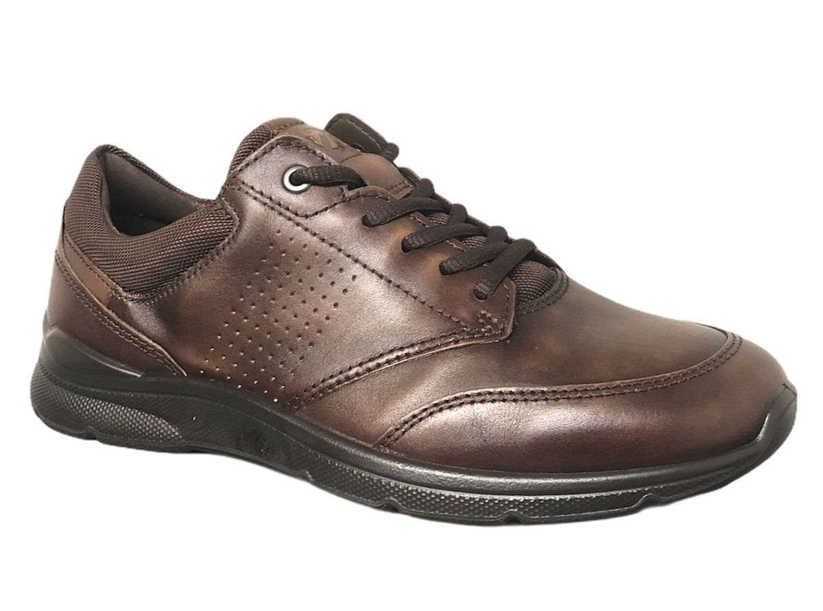 ECCO Scarpe Pelle 511734 - 55738 - Musto Calzature srl