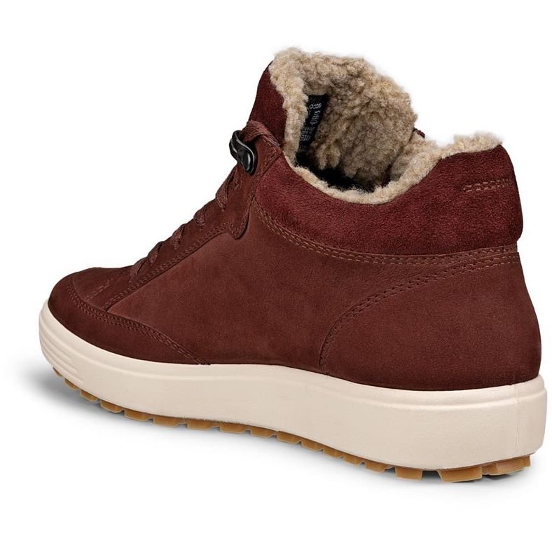 ECCO Sneakers PELLE GORE - TEX Soft 7 Tred 450493 - 02474 - Musto Calzature srl