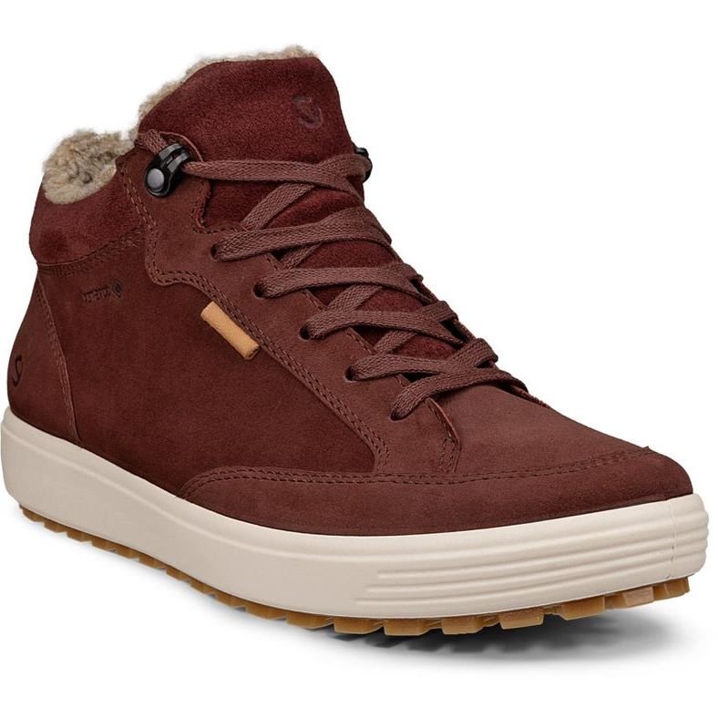 ECCO Sneakers PELLE GORE - TEX Soft 7 Tred 450493 - 02474 - Musto Calzature srl