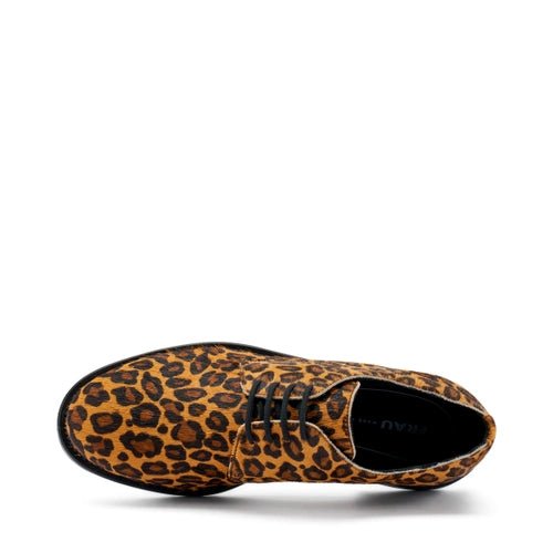 FRAU Stringate CAVALLINO 98J1 - Musto Calzature srl