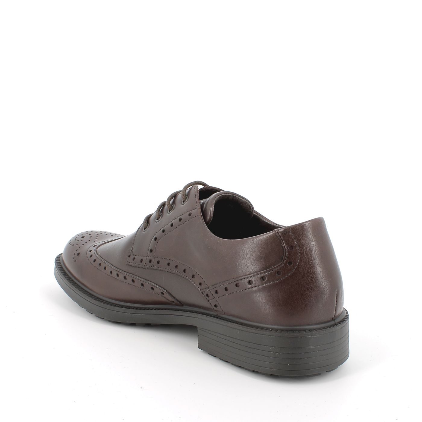 IGI&CO Scarpe PELLE GORE - TEX 26042 - Musto Calzature srl