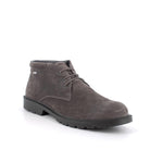IGI&CO Polacchino uomo CAMOSCIO GTX 8602522 - Musto Calzature srl
