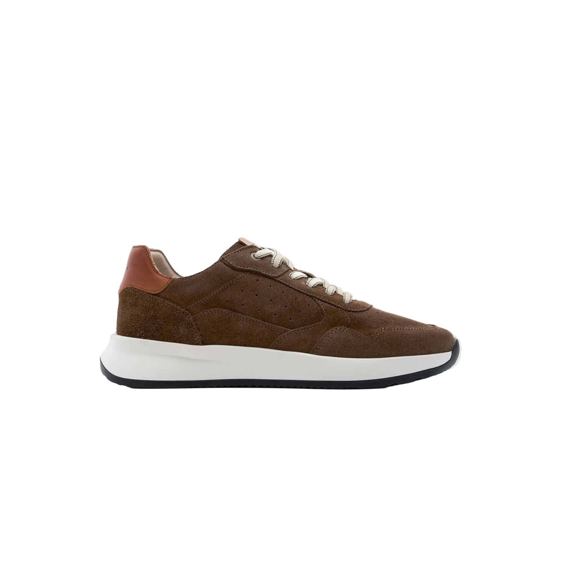 AMBITIOUS Sneakers uomo Camoscio RONNIE 14301 - Musto Calzature srl